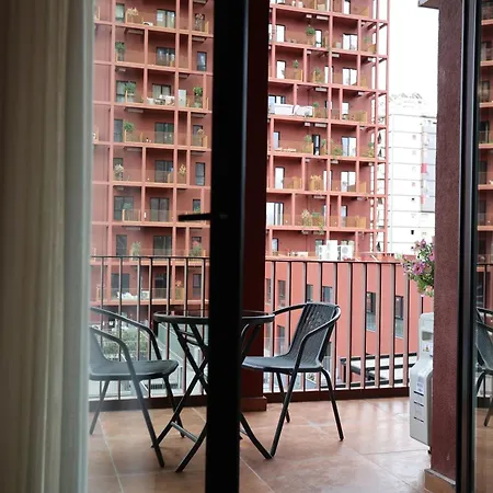 Gardenia Тирана